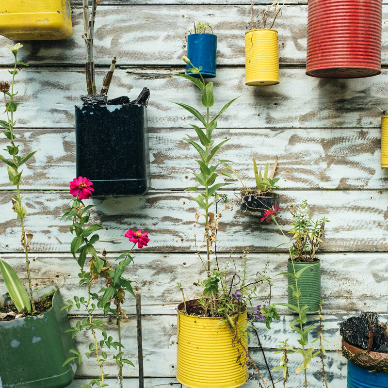 10 ways to lead a more sustainable life