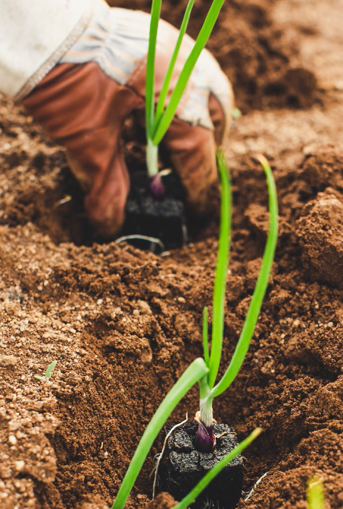sustainable funds